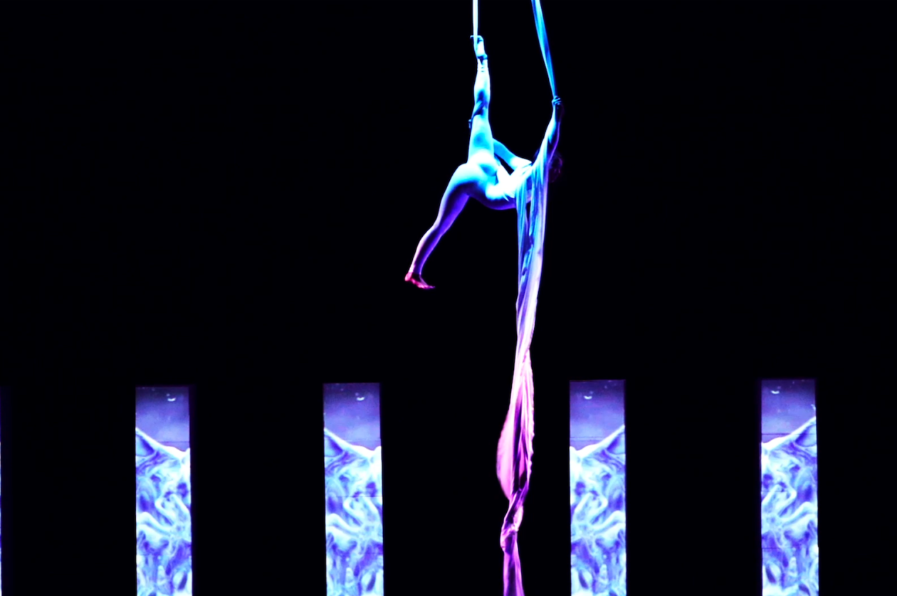 digital-cirque-suisse